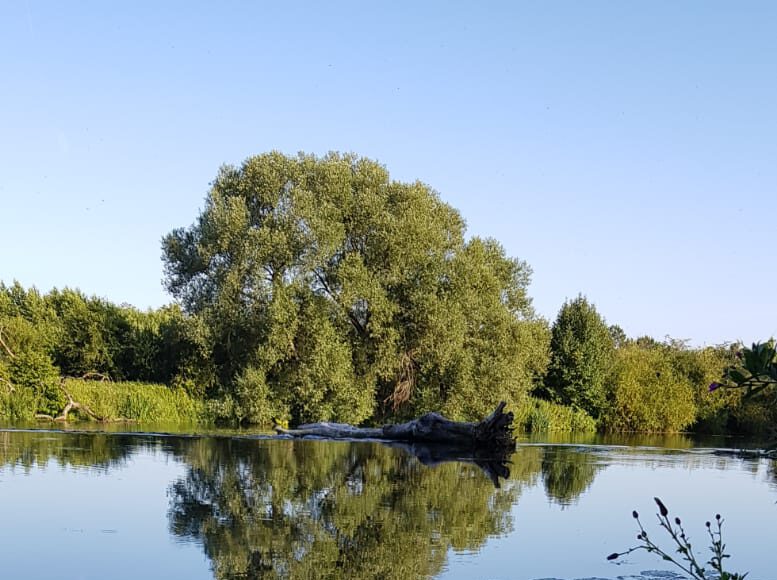 Naturerlebnis direkt vor der Haustür: Nicht nur Touristen wissen die Lippe als Erholungsgebiet zu schätzen. Foto: Wagner