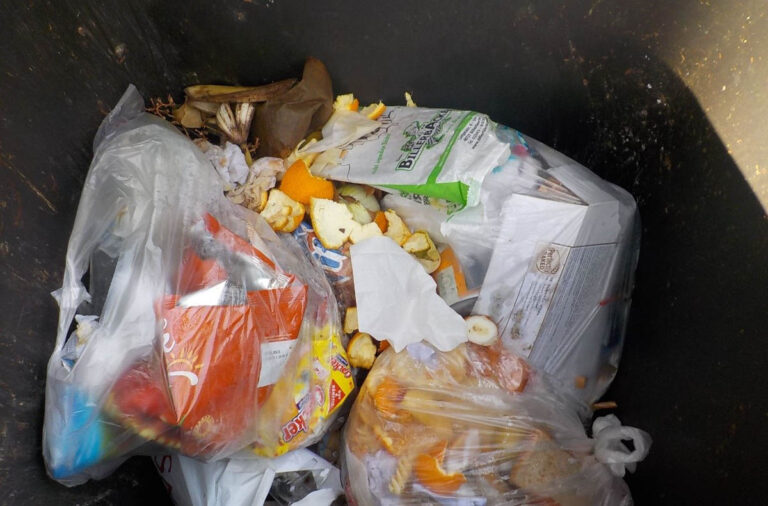 Diese Biotonne würde bei einer entsprechenden Kontrolle wohl nicht geleert. Foto: Gemeinde Ascheberg