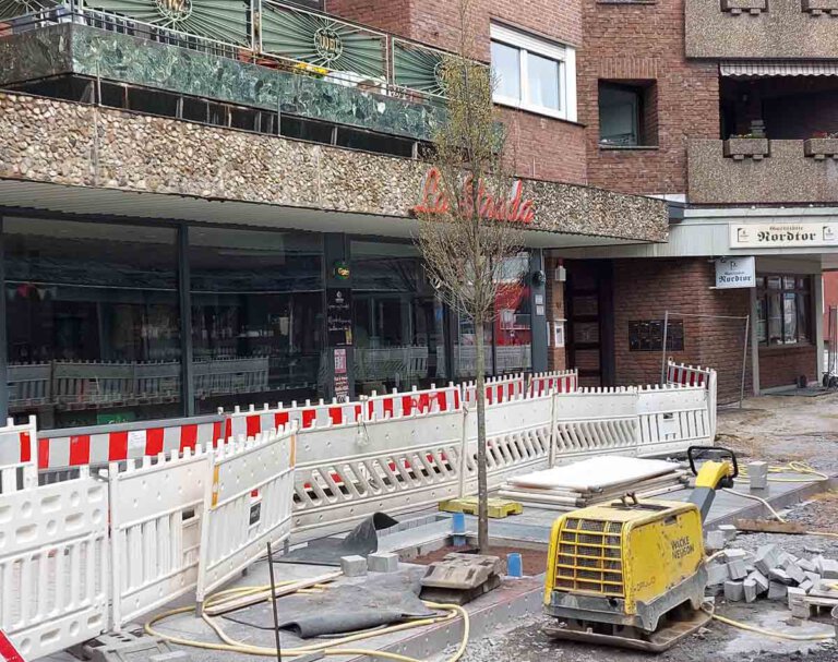 Der „Baum des Anstoßes" in der Bonenstraße: Die bereits gepflanzte Pyramiden-Hainbuche vor dem Restaurant La Strada soll wieder entfernt werden. Einen entsprechenden Dringlichkeitsantrag hat die CDU gestellt. Foto: Wagner