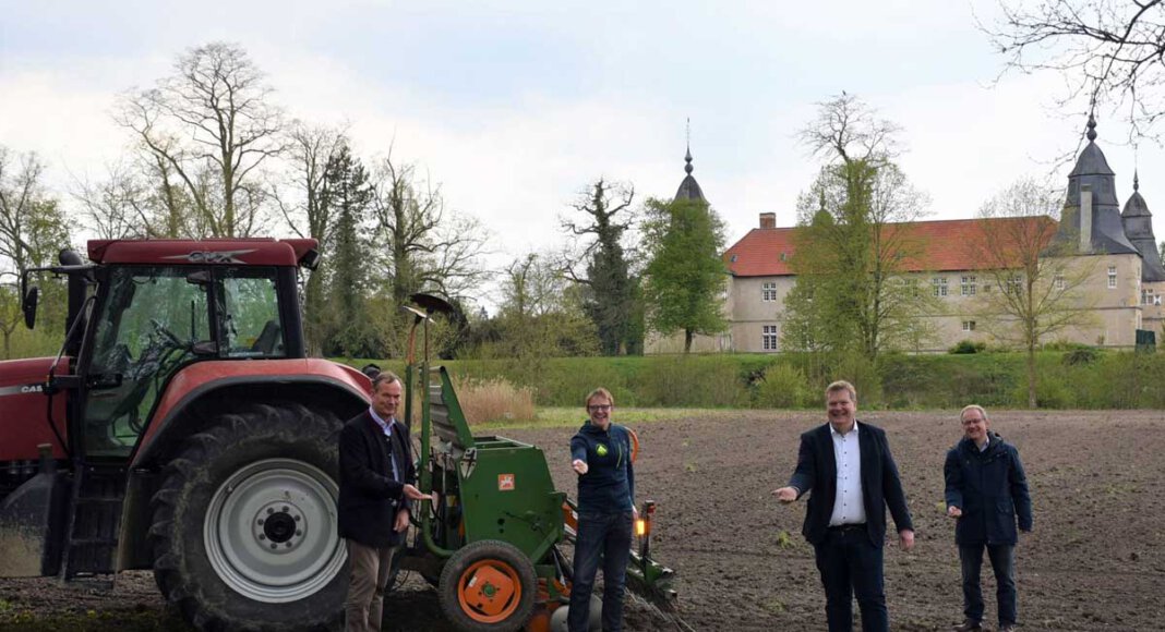 Bürgermeister Thomas Stohldreier (2.v.r.), Stefan Grünert, Rentmeister der Graf von Merveldt´schen Verwaltung (l.), Gerhard Reimann, Vorsitzender des Landwirtschaftlichen Ortsvereins Herbern (r.) und Tobias Großerichter (2.v.l.) haben Blumen auf Flächen in Herbern ausgesät. Foto: Gemeinde Ascheberg