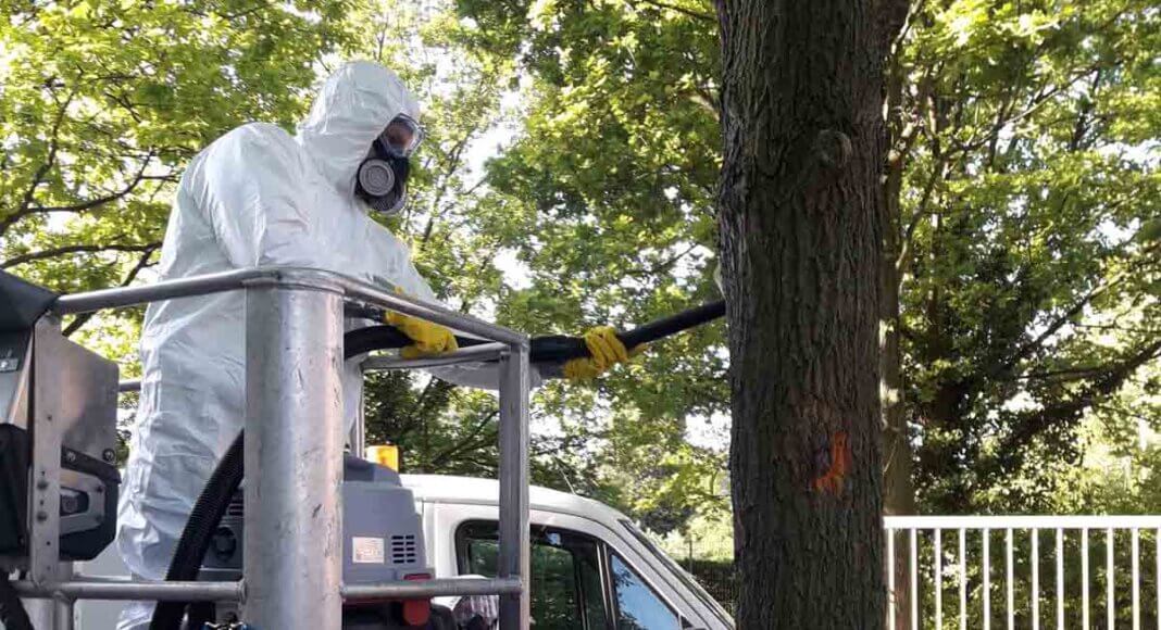Absaug-Einsatz gegen die Eichenprozessionsspinner im letzten Jahr: In Schutzkleidung und mit einem speziell ausgerüsteten Industrie-Sauger gehen Mitarbeiter der Wirtschaftsbetriebe Lünen (WBL) gegen die giftigen Raupen vor. Archivfoto: Stadt Lünen