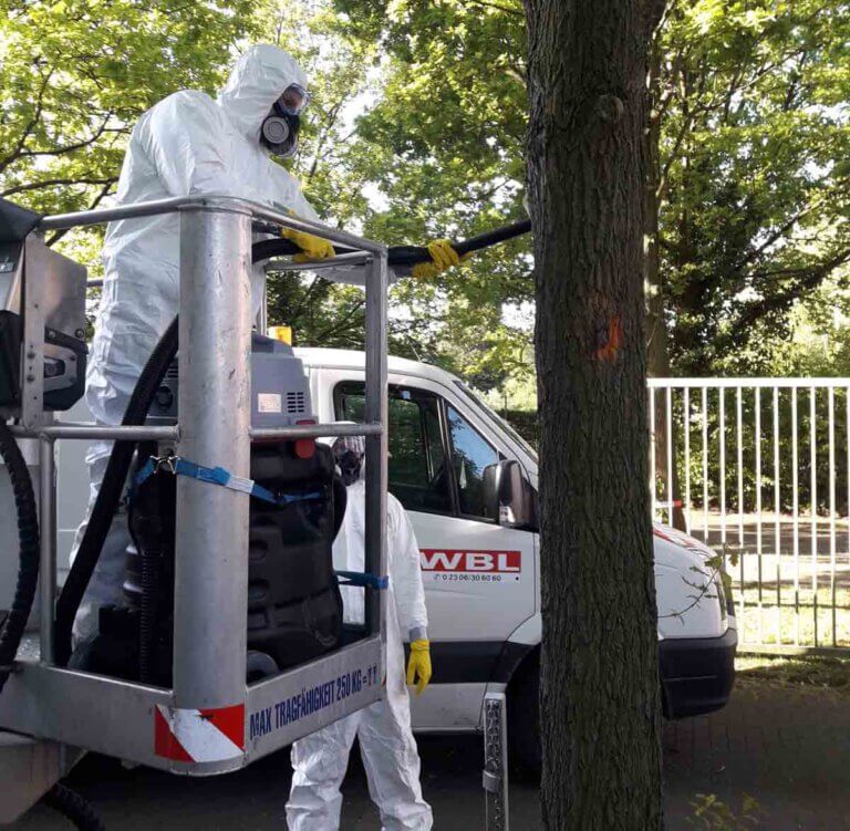 Absaug-Einsatz gegen die Eichenprozessionsspinner im letzten Jahr: In Schutzkleidung und mit einem speziell ausgerüsteten Industrie-Sauger gehen Mitarbeiter der Wirtschaftsbetriebe Lünen (WBL) gegen die giftigen Raupen vor. Archivfoto: Stadt Lünen