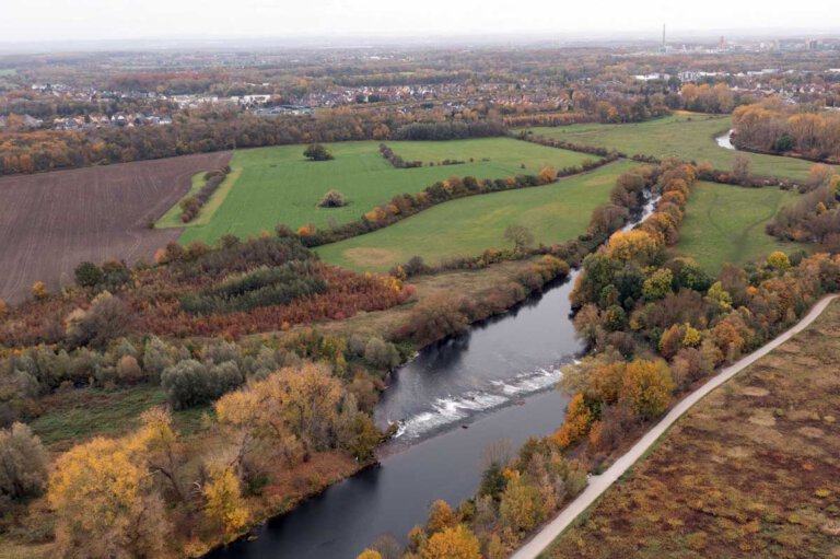 Hervorzuheben ist ein Grunderwerb von rund 3,4 Hektar in der Lippeaue in Werne. In Zusammenarbeit mit dem Lippeverband soll die Fläche naturnah entwickelt und damit ökologisch aufgewertet werden. Foto: Kreativshooting/T. Schütte