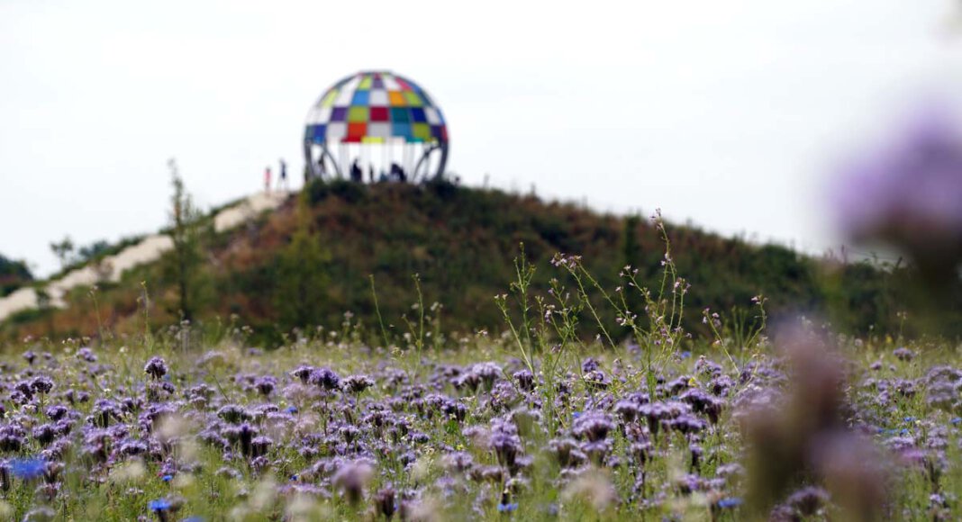 Im Schatten der Kuppel breitet sich ein bunter Teppich aus. Foto: M. Woesmann / Stadt Selm