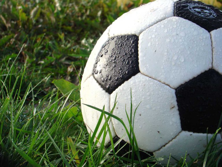 Sieben Spiele sind bei der Fußball-Europameisterschaft bereits ausgetragen worden. Beim Tippspiel von WERNEplus gibt es einen alleinigen Führenden. Symbolfoto: pixabay