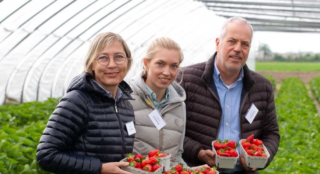 Anne, Sophia und Hubertus Pröbsting hofften auf besseres Wetter, damit die Erdbeerernte so richtig Fahrt aufnehmen kann. Sie wurden erhört. Foto: Isabel Schütte
