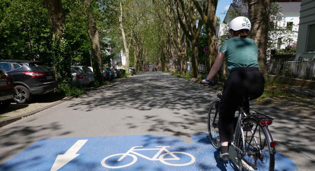 Die Platanenallee in Unna ist eine Fahrradstraße. Foto: Birgit Kalle – Kreis Unna