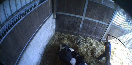 Ein Betrieb in Werne ist nach Ausstrahlung eines Berichts des ARD-Magazins Fakt offensichtlich in den Mittelpunkt staatsanwaltlicher Ermittlungen in Sachen Tierquälerei gerückt. Foto: Soko Tierschutz