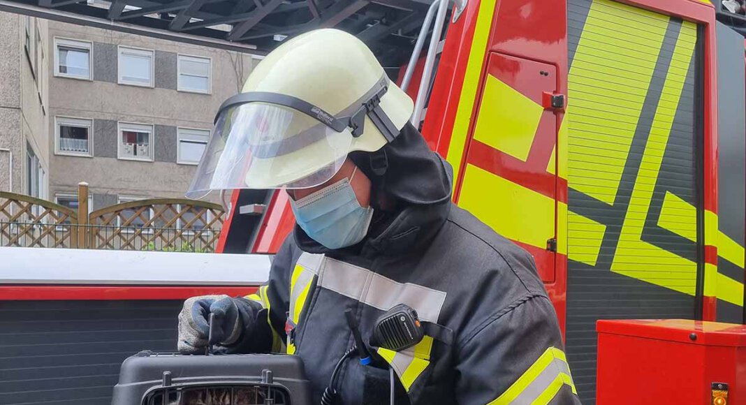 Die Feuerwehr befreite die Katze aus einer misslichen Situation. Das Haustier stecke in einer Dachrinne fest. Foto: Feuerwehr Werne