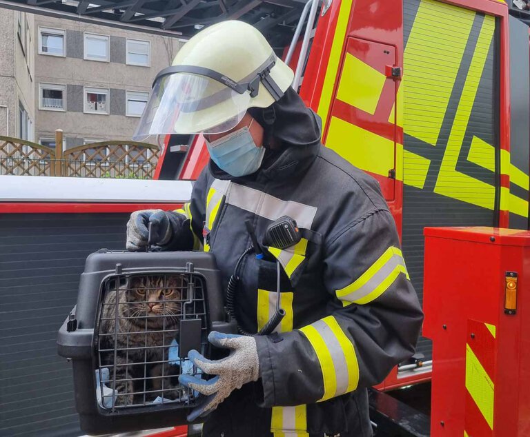 Die Feuerwehr befreite die Katze aus einer misslichen Situation. Das Haustier stecke in einer Dachrinne fest. Foto: Feuerwehr Werne