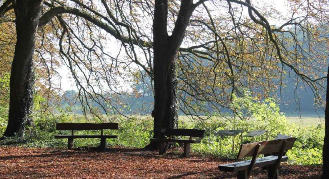 Zu einer Exkursion durch den Hirschpark lädt Melanie Storm ein. Foto: Storm