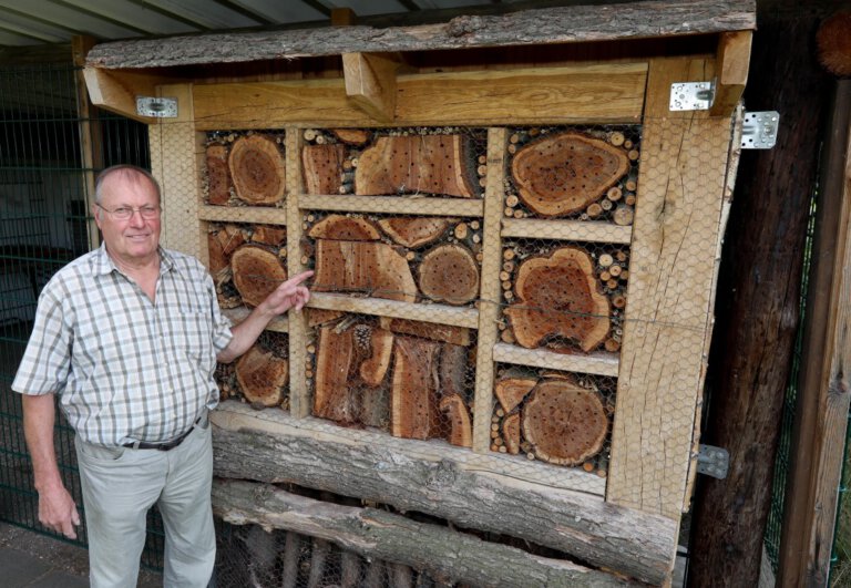 Insektenhotel der Steinkamp-Siedler ist schon bewohnt