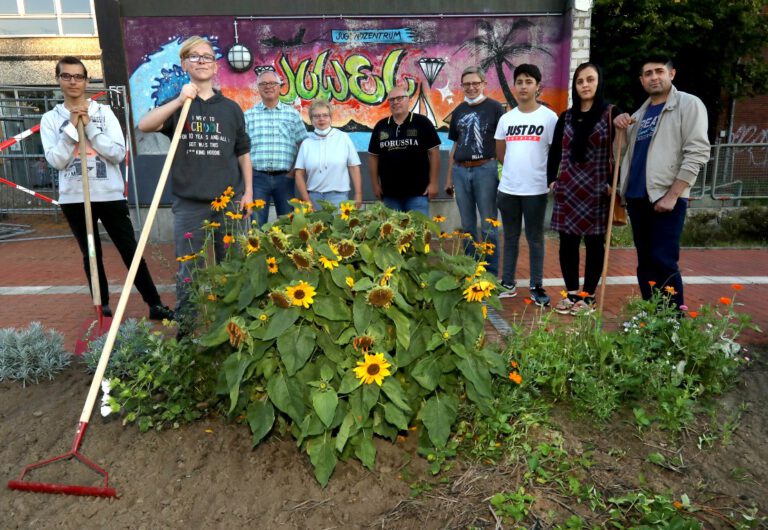 Pflanzen und Blumen ersetzen am JuWeL alte Pflastersteine