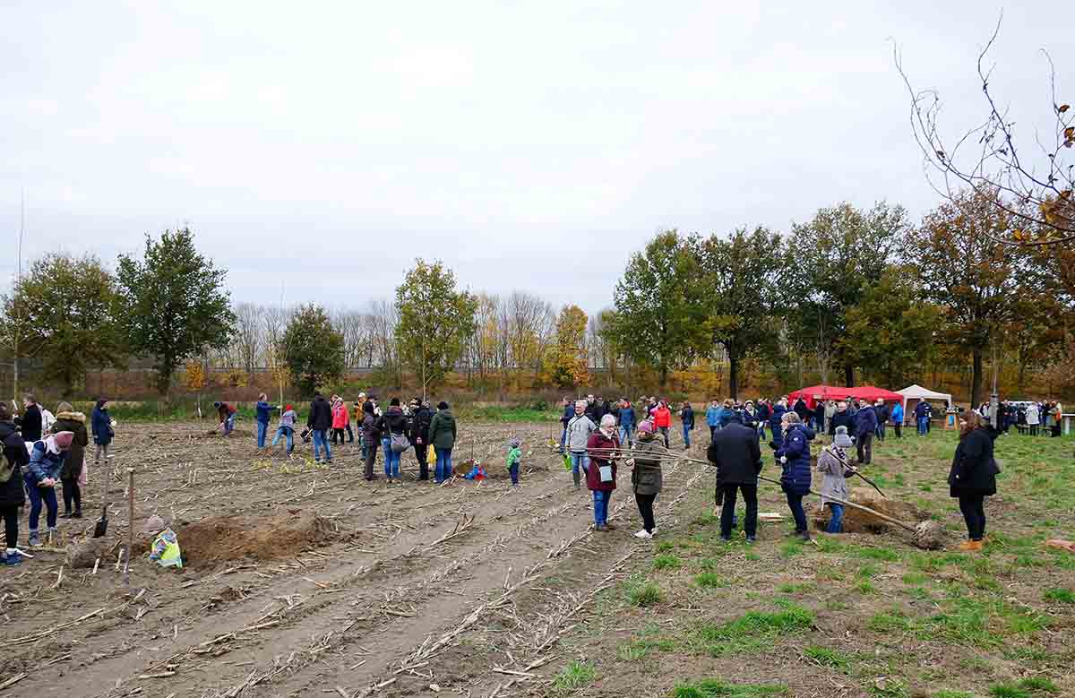 „Ein Baum fürs Leben“ Werner Bürgerwald am Bellingholz Werne Plus