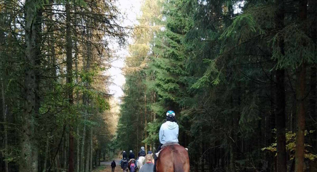 Ein besonderes Reitwochenende haben Mädchen und Jungen der Jugendzentren in Werne erlebt. Foto: Privat