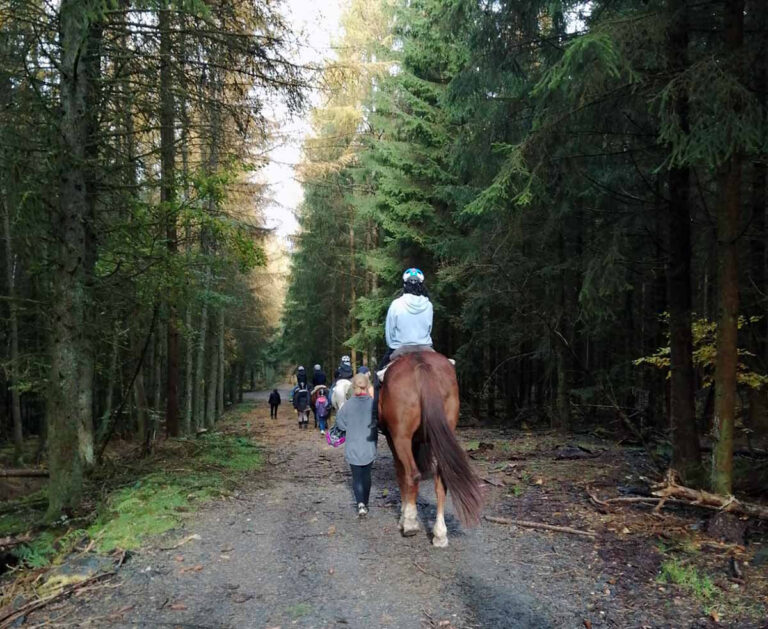 Ein besonderes Reitwochenende haben Mädchen und Jungen der Jugendzentren in Werne erlebt. Foto: Privat