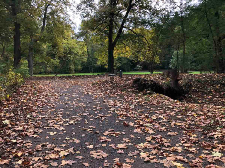 Der Schlosspark Schwansbell wird in diesem Jahr revitalisiert. Foto: Stadt Lünen