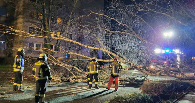 Der längste Einsatz während Sturmtief Zeynep war im Holtkamp. Dort war eine Birke umgestürzt. Foto: Feuerwehr Werne
