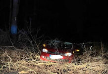 Ein Baum stürzte auf die Südkirchener Straße. Viel Glück hatte dabei eine Autofahrerin, die unverletzt blieb. Foto: Feuerwehr Werne
