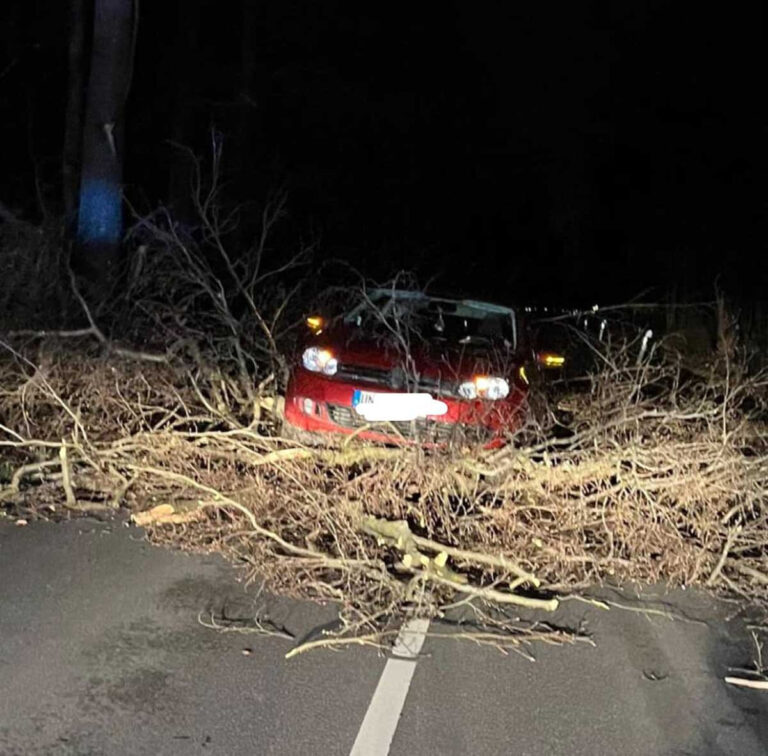 Ein Baum stürzte auf die Südkirchener Straße. Viel Glück hatte dabei eine Autofahrerin, die unverletzt blieb. Foto: Feuerwehr Werne