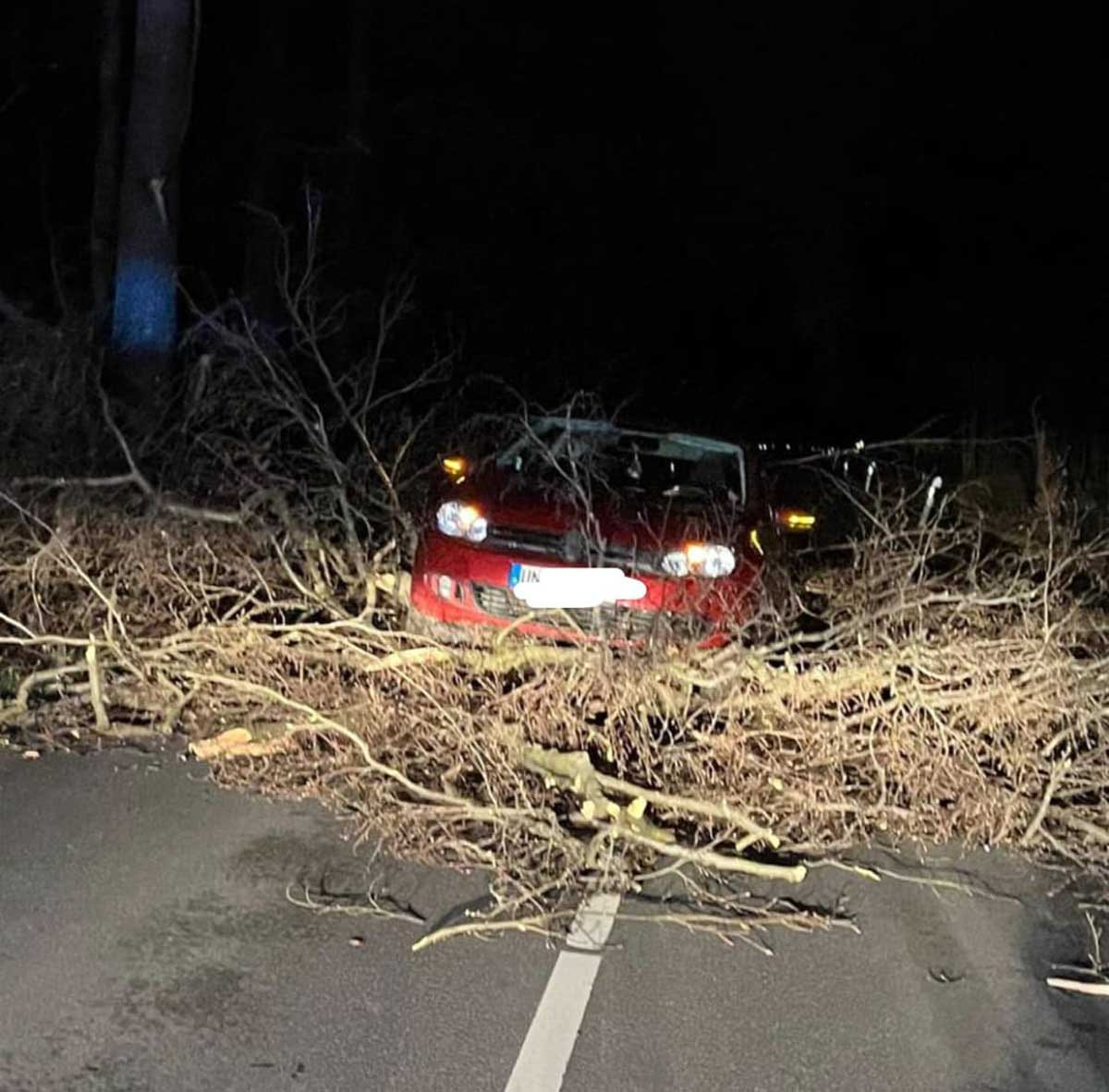 Ein Baum stürzte auf die Südkirchener Straße. Viel Glück hatte dabei eine Autofahrerin, die unverletzt blieb. Foto: Feuerwehr Werne