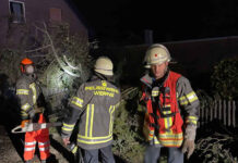 Die Löschgruppe 2 aus Langern der Freiwilligen Feuerwehr Werne beseitigte in der Nacht auf Freitag einen umgestürzten Baum in der Nähe der Reitanlage Lenklar. Foto: Feuerwehr Werne