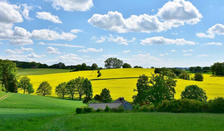 Die VHS Werne bietet auch einen Besuch der Solidarischen Landwirtschaft in Selm-Bork an. Symbolbild: pixabay