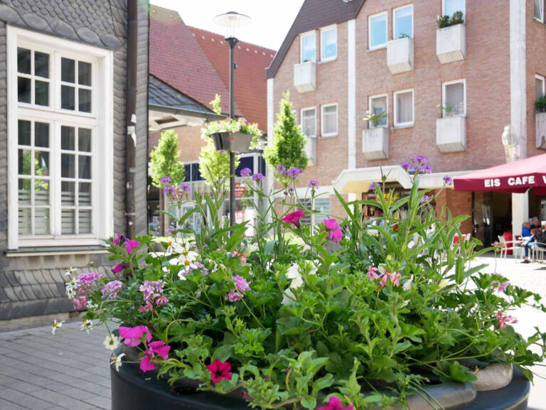 Werne soll auch in diesem Jahr wieder aufblühen. Daher können Bürger, Einzelhändler, Gastronomen, Unternehmer oder Vereine eine Blumen-Patenschaft übernehmen. Archivfoto: Gaby Brüggemann