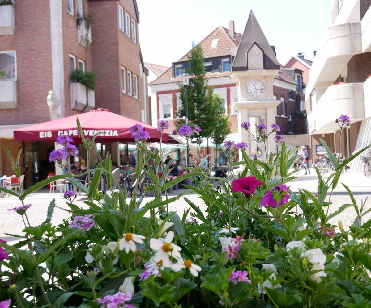 Dank der Pflanzenauswahl eigenen sich die Flower pots und Blumenampeln jeweils auch zum „Fly inn“ für Bienen, Hummeln & Co. Foto: Gaby Brüggemann
