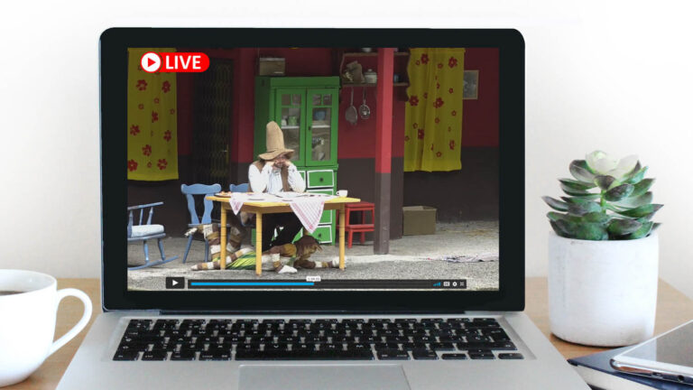 Die vierte Veranstaltung von „Pettersson und Findus“ wurde nämlich live gestreamt.