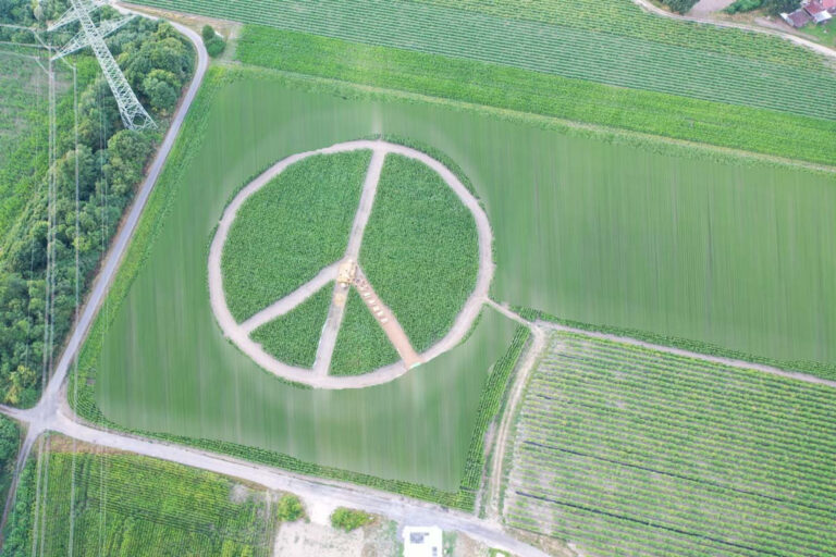 Im Maislabyrinth fand eine gemeinsame Übung des Löschzugs Stockum mit der Drohneneinheit der Freiwilligen Feuerwehr Werne statt. Foto: Feuerwehr Werne
