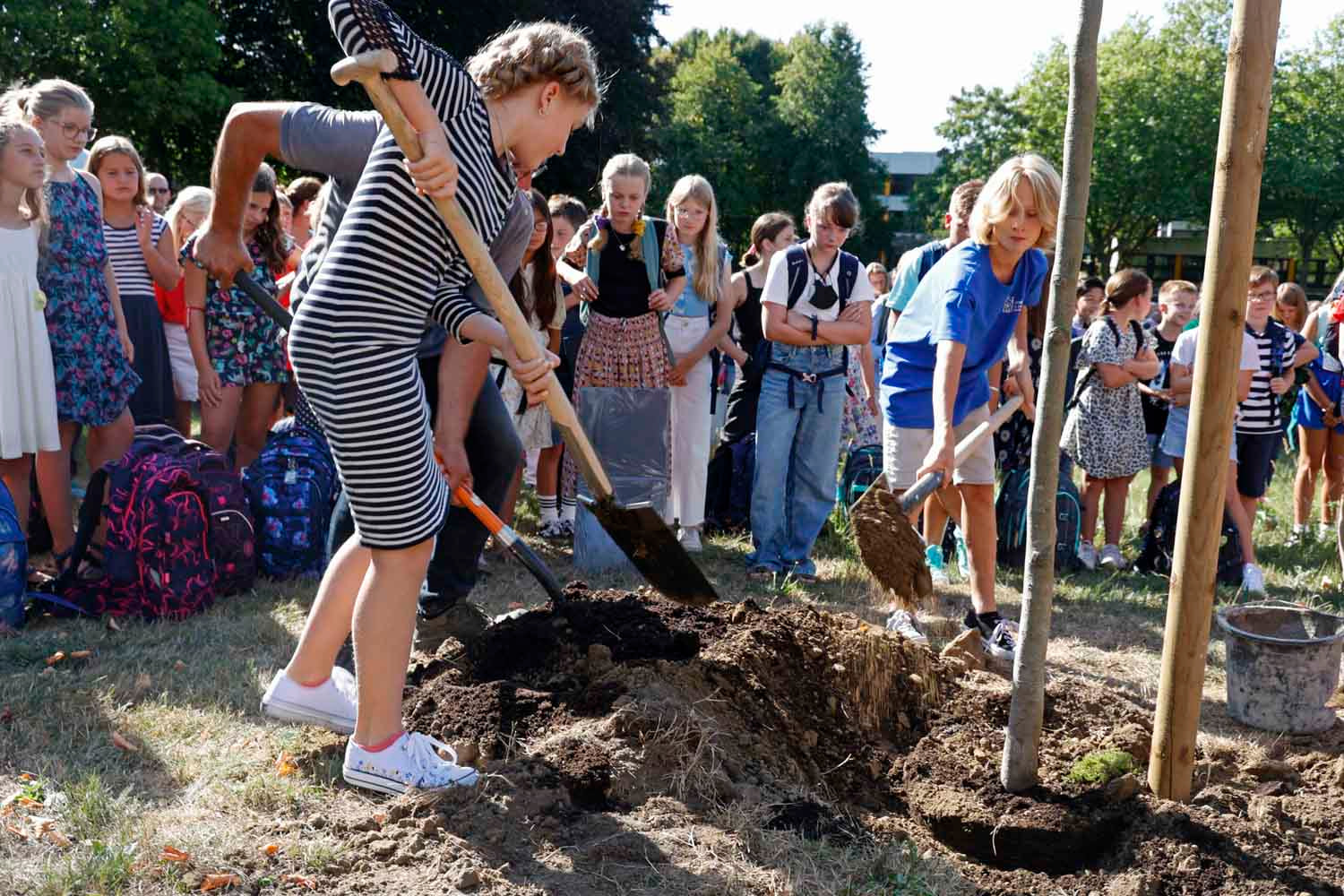Die neuen Fünftklässler/innen pflanzten traditionell einen Baum vor der neuen Turnhalle. Foto: GSC