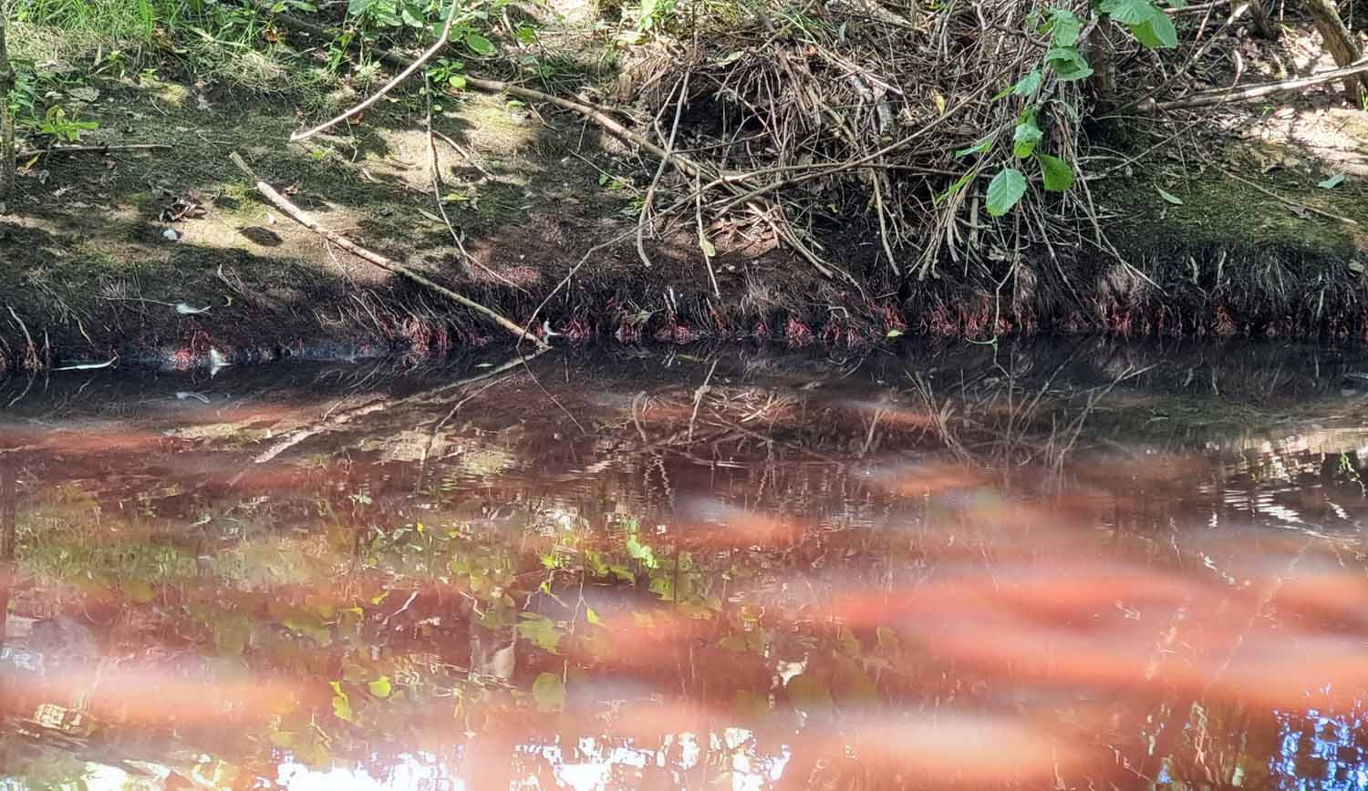 Am Sonntagmorgen wurde eine rötlichbraune bis teilweise je nach Sonnenlichteinfall violette Verfärbung des Wassers der Horne festgestellt. Foto: Feuerwehr Werne