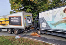 Zu einem Auffahrunfall zwischen zwei Lastkraftwagen kam es am Montagmorgen am Kreisverkehr Nordlippering/Capeller Straße. Foto: Feuerwehr Werne