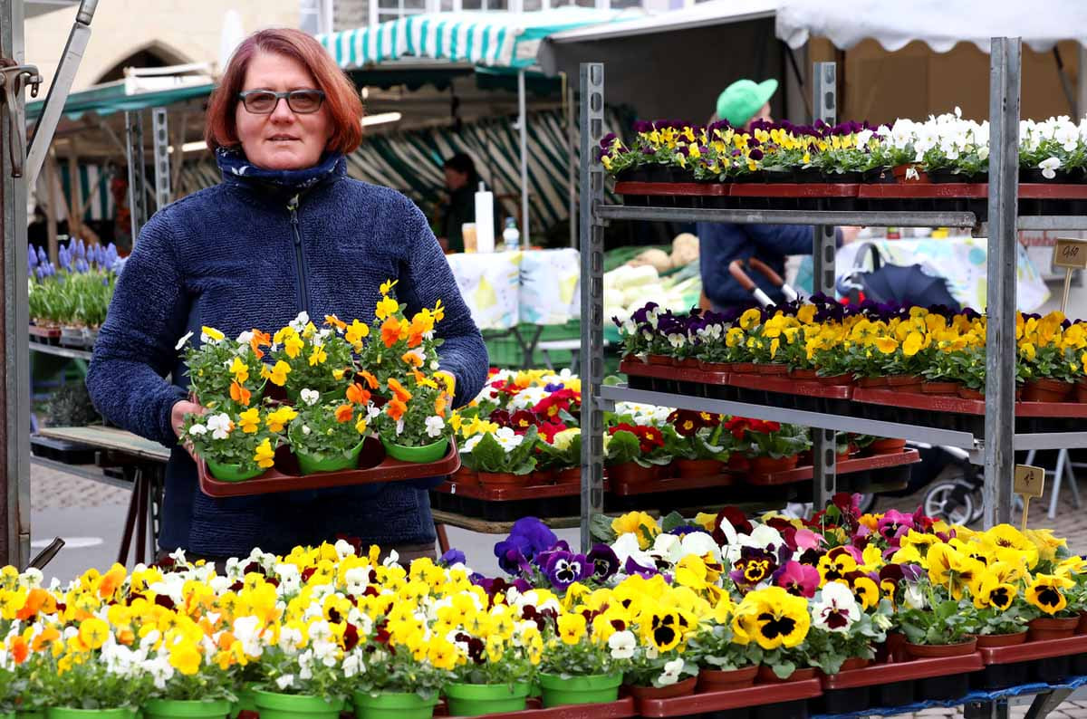 Die Gärtnerei Leifeld ist schon seit Jahrzehnten auf dem Werner Wochenmarkt vertreten. Foto: Christoph Volkmer