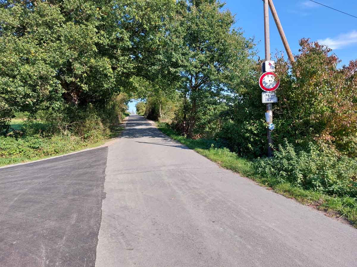 Sogenannte multifunktionale Straßen, wie hier im Bereich Grüner Winkel, erhalten neue Asphaltdecken. Symbolbild: Wagner