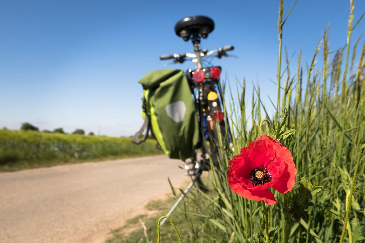 Der ADFC-Fahrradklima-Test lädt zum Mitmachen ein. Symbolbild: pixabay