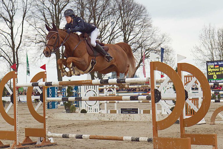 Mynou Diederichsmeier auf Quick and Fly holte sich zum Abschluss der Lenklarer Reitertage den Großen Preis von Werne. Foto: Steinmüller