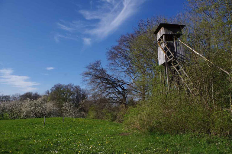 Zugelassen zur Jägerprüfung werden Bewerber, die ihren gewöhnlichen Aufenthalt im Kreisgebiet und das 15. Lebensjahr vollendet haben. Symbolbild: pixabay