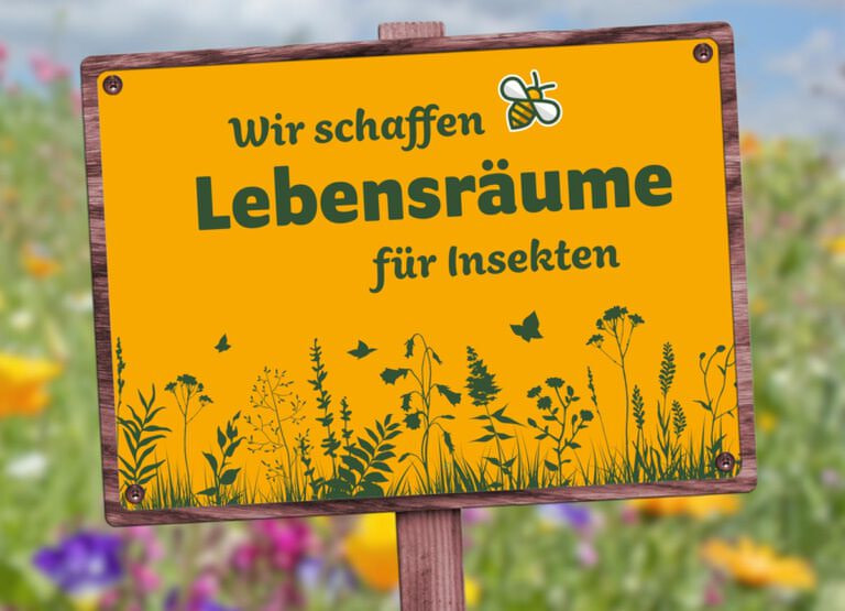In diesem Jahr unterstützt das Werner Klimaschutzmanagement tatkräftig die Blühstreifenaktion der Werner Landwirte. Foto: privat