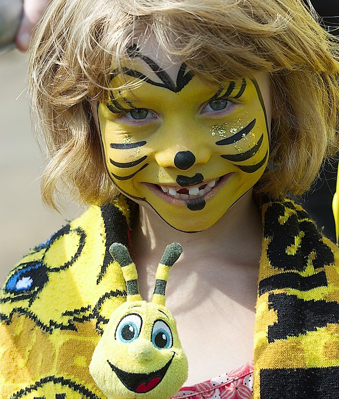 BVB-Fanclub: Party in schwarz-gelb