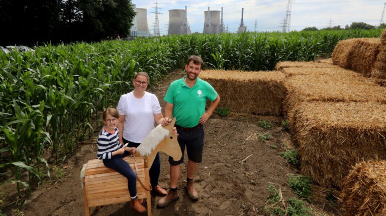 Maisfeld mit Trecker-Motiv: Labyrinth in Stockum ist eröffnet