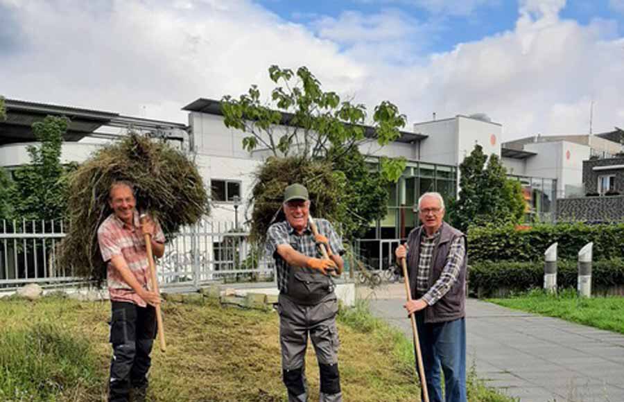 Mitglieder des Heimatvereins brachten die Museumswiese wieder in Schuss. Foto: privat