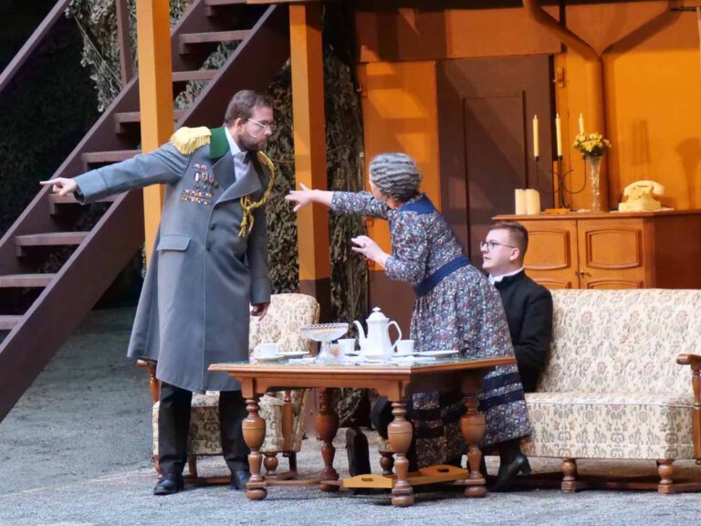 „Arsen und Spitzenhäubchen“: Premiere in der Freilichtbühne