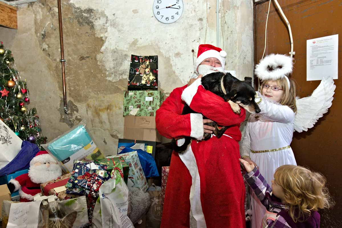 Eine gelungene Weihnachtsaktion veranstaltete die Tiertafel Werne - klassisch mit Weihnachtsmann und Engel. Fotos: Steinmüller