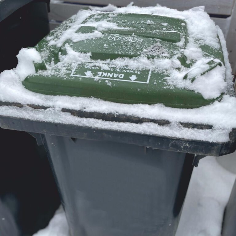 Die Biotonne im Winter. Foto: GWA