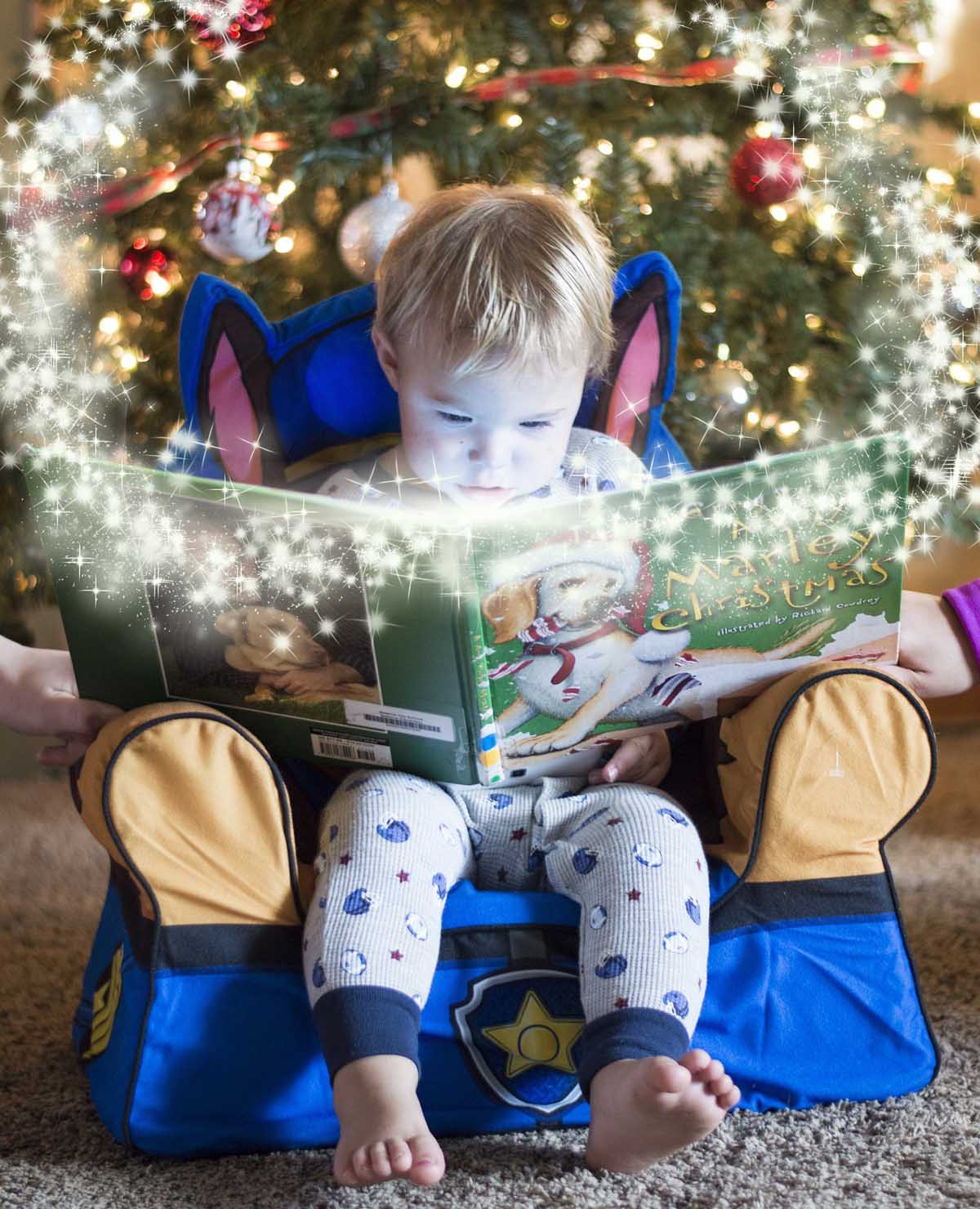 Der literarische Adventskalender: Hinter jedem Türchen versteckt sich ein Kinderbuch, das entdeckt werden will. Symbolbild: pixabay