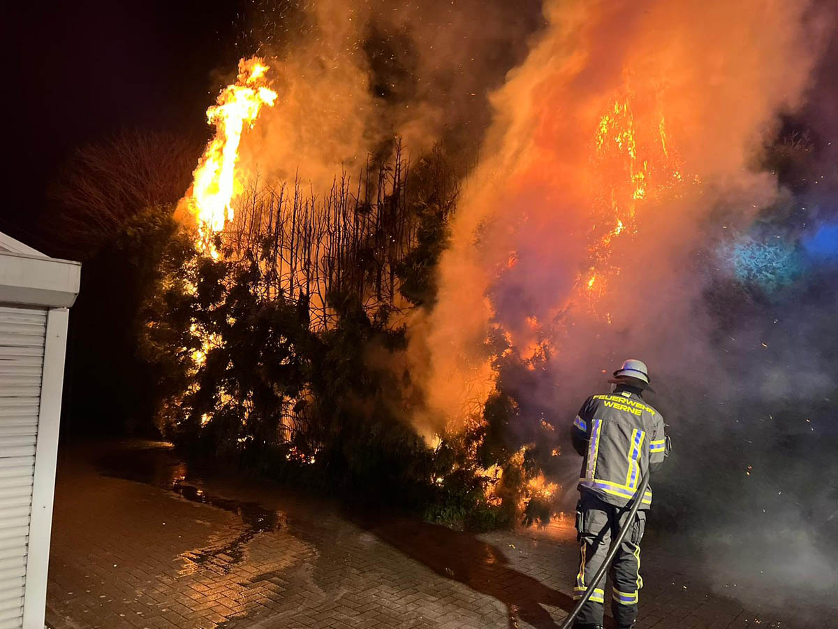 An der Straße Am Alten Kurbad brannte in der Silvesternacht eine Hecke. Die Feuerwehr löschte den Brand. Foto: FFW