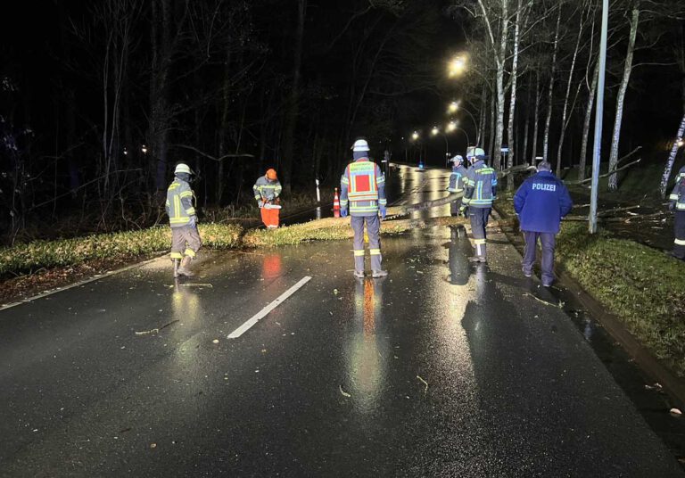 Ein umgestürzter Baum versperrte den Goetheweg und alarmierte die Feuerwehr. Foto: FFW