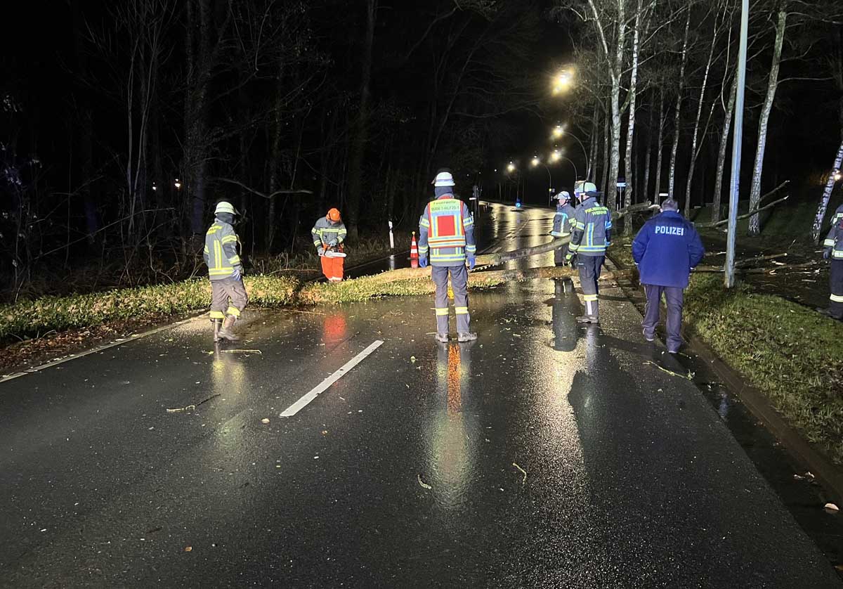 Ein umgestürzter Baum versperrte den Goetheweg und alarmierte die Feuerwehr. Foto: FFW
